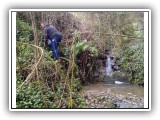 Escursione Torrente Cozzino