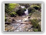 Escursione Torrente Cozzino